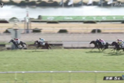 【競馬】京都5R、3連単314万円の大荒れ