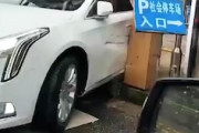 どうしてそうなった。駐車ゲートで首を挟んでしまったキャデラック乗り(´･_･`)