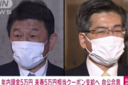 自民･公明､18歳以下に年内に現金5万円給付･来春クーポン5万円分支給　所得制限は検討継続？