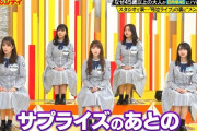 【日向坂46】特集見てきたけど何故45歳以上の人気集めるのかの裏付けがなくてモヤモヤ