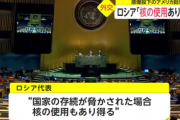 【速報】核拡散防止条約の再検討会議で衝撃発言、ロシア「核の使用ありうる」