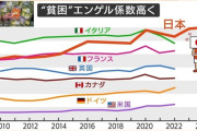 日本、エンゲル係数がアメリカの2倍。お前らアメリカのデブより食ってんの？