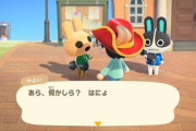 好きなどうぶつの森の住人は？→　お前ら「やよい」