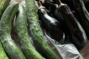 ナスときゅうり収穫や