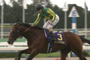 【競馬】菊花賞って本当に強い馬が勝つの？