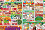ド田舎のスーパーのチラシにAKB48wｗｗwｗｗ