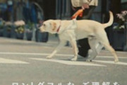 【動画あり】関西弁の盲導犬CMに賛否「犬の気持ち分かるの？」