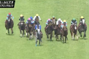 【京王杯SC】リフレイムとかいうまっすぐ走れない馬をレースに出すなｗｗｗｗｗｗ
