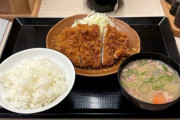 【画像】かつやの500円定食ｗｗｗｗｗ