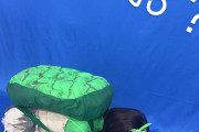 りこりこ、亀になる