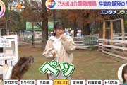 【乃木坂46】齋藤飛鳥、動物園で顔にツバを吐かれる衝撃シーンがオンエアwwwwwww