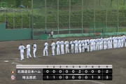 【朗報】西武２軍、めっちゃ強そうになる！