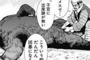 【無産】「6歳のメスで子宮に出産痕がない。こういう熊は段々凶暴になる」→非モテ女性フェミ様ご乱心w