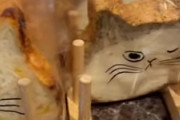 海外「かわいい！全部欲しい！日本には最高にかわいいものがある！」可愛らしいネコ形の食パン（海外の反応）