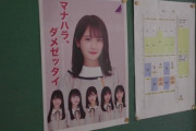 【乃木坂46】マナハラ、ダメゼッタイ。