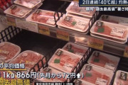 【画像】「豚肉」値上げの理由、豚が暑さで豚のように寝ているためだったｗｗｗｗ