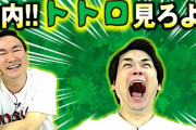 かまいたち山内がトトロ見たことない自慢してたしお前らも○○見たことない自慢しようぜ