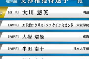 日本ハムファイターズ2025ドラフト総評