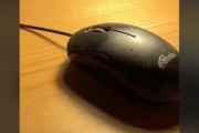 【動画】お手元のマウスがこうなったら窓から投げ捨てよう(((ﾟДﾟ)))