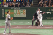 巨人、岡本・坂本が2者連続ホームランｗｗｗｗｗｗｗｗｗｗｗｗｗ