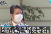 【小さい！】安倍晋三ネットで馬鹿にされアベノ布マスクを捨てる