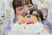 【SKE48】藤本冬香「ぽぽさん(愛犬)今日7歳のお誕生日です」