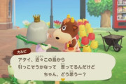 識者「どうぶつの森のハズレ動物は追い出すと良い」←これ