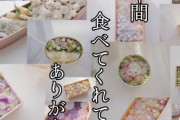 【画像】6年間この弁当食わされてた娘ｗｗｗｗｗｗｗｗｗｗｗｗｗｗｗｗｗｗｗｗｗｗｗｗｗｗｗｗｗｗｗｗｗｗｗｗｗｗ