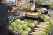 【悲報】ダイコン1本298円　天候不順で野菜が高騰