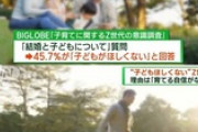【悲報】政府｢子供産んでくれ！｣ Z世代の約5割｢子供欲しくない｡育てる自信がないし自由がなくなる｣