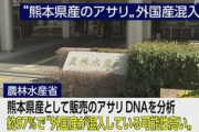 【産地偽装】熊本県産アサリ、97％が“外国産混入の可能性”