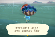 あつまれどうぶつの森 7月にとれる海の幸24種 オオシャコガイ、コウモリダコ、ダイオウグソクムシの取り方