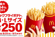 【朗報】今日からマクドナルドのポテトLサイズ２５０円ｗｗｗｗｗｗｗｗｗｗｗｗｗｗｗｗｗｗｗ