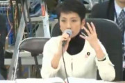 【悪夢の民主党政権】立憲民主党・蓮舫「視察したけど二子玉川なんて治水やる必要ない、優先順位が違う」９年前の動画が発掘されブーメラン大炎上