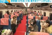 愛犬家に朗報 JR東海が愛犬をかごから出せる新幹線｢わんわんエクスプレス｣を試験