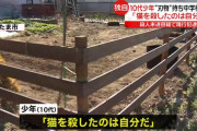戸田市・中学切りつけ　逮捕の少年「猫を殺したのは自分」❓❓