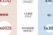 【ワロタｗ】同盟国・韓国との通貨スワップに消極的な米トランプ政権、アルゼンチンと200億ドル規模で合意