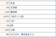 【悲報】野球選手のプロフィール、一行ずれただけでとんでもないことになる