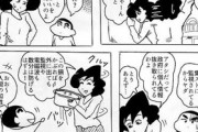 みさえ「しんのすけ、ひまわり見なかった？」