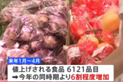 【悲報】来年、食品値上げへ