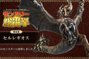 【モンハン】人気投票でセルレギオスのランクインは絶望的だよな