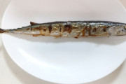 魚離れに大革命！ 丸ごとガブリ「骨なし魚」研究進む「骨を取るのが面倒くさい」を解決 子供の健康促進へ