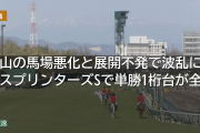 中山の馬場悪化と展開不発で波乱に　スプリンターズSで単勝1桁台が全滅