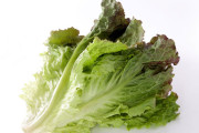 レタス「美味いです。安くて栄養もあります」←こいつの欠点