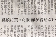 読売人生案内　70代女性「孫のために買った服を頑なに着させない嫁を追い出して孫を自分のものにしたい」  [12/31]