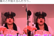 【炎上】人気YouTuber、「ディズニーでイケメン探し」発言で炎上 → 心無いネット民に「この顔面で…」と書かれブチギレｗｗｗｗ