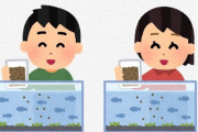 アクア民さん、女性受けの良い熱帯魚について活発な議論を交わす