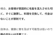 中国人「日本のレストランで髪の毛などのゴミが混入することはありえるのか？」　中国の反応