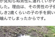 ツイッター民「ウチのトイプードルが公園で子供噛んだら親に連れ去られた」