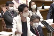 蓮舫「ちょっと何言ってるか分からない」安倍首相のアベノマスク熱弁に